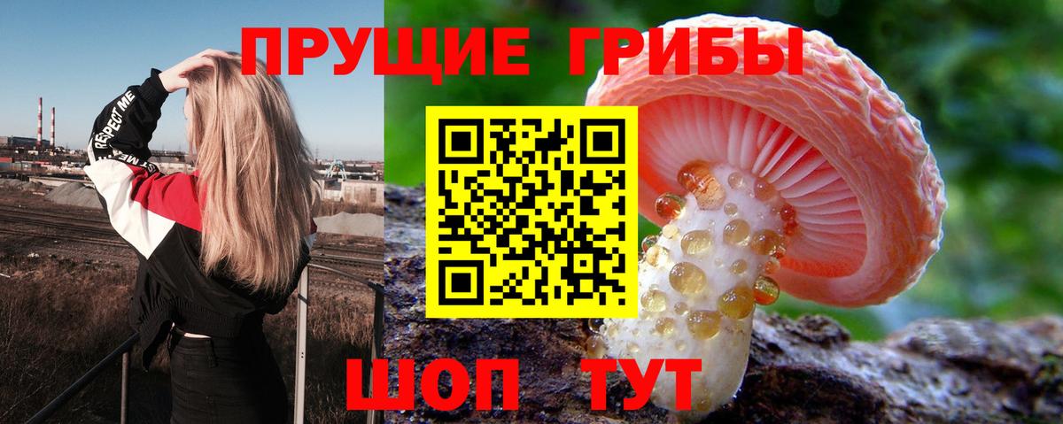 Новочебоксарск  Псилоцибиновые грибы Psilocybine cubensis  Вход с VPN  Псилоцибиновые грибы GOLDEN TEACHER 